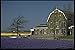 Produktbild 660000 Bulb Fields Netherlands A4 Photo Poster Print 10x8