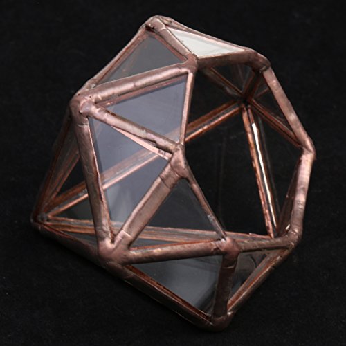 MagiDeal Geometrisches Glas Terrarium Box Glas Sukkulente Pflanzen Pflanzgefäß Deko Diamant Form – S - 6