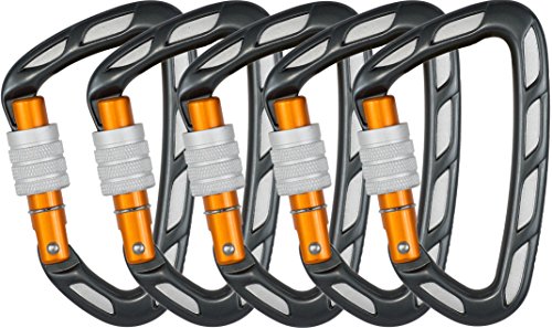 Preisvergleich Produktbild Skylotec 5er Pack Schraubkarabiner clipZ SC