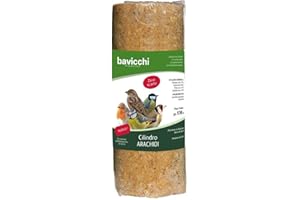 PERAGA CILINDRO ALLE ARACHIDI 850GR PER UCCELLI SELVATICI