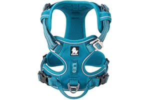 WINHYEPET True Love Harnais pour Chien No Pull Nylon Souple Réfléchissant Réglable pour Petit Grand Animal Chien Facile à Mettre Réglable avec Harnais pour Chien TLH56512