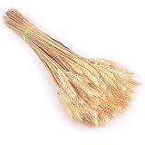 ramo de trigo seco significado Más maneras decorativas: remojar en agua fría durante 8 horas, usted puede utilizar para hacer una variedad de decoraciones, como tejer una guirnalda de trigo, se puede colgar en la pared o el desgaste en la cabeza y así sucesivamente