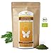 Produktbild 1kg Bio-Moringa-Oleifera-Blatt-Pulver DE-ÖKO-012 aus jungen Blättern, ohne Zusätze, Rohkostqualität, schonende Verarbeitung bei niedrigen Temperaturen (1000g)