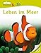 memo Kids. Leben im Meer by Samantha Gray, Caroline Stamps