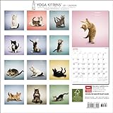 Image de Yoga Kittens 2011 Calendar