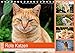 Produktbild Rote Katzen 2018. Tierische Impressionen (Tischkalender 2018 DIN A5 quer): 12 abwechslungsreiche Bilder von rot getigerten Katzen. (Monatskalender, 14 Seiten ) (CALVENDO Tiere)
