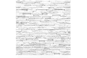 Deccart - 3D Wandpaneele 60x60 cm - Paneele Wand Wall Panels Deko Wandverkleidung Innen Panel Deckenverkleidung Decke Deckenpaneele Platten Styropor EPS-Polystyrol Stein 2.16 m², 6 Stück, weiß