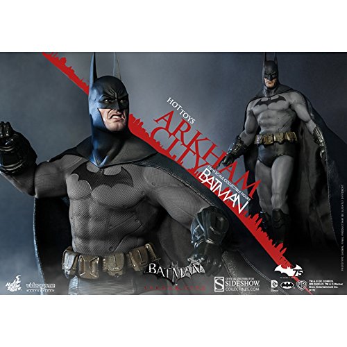 Hot Toys 1:6 Scale Batman Arkham City VGM Series Figurine