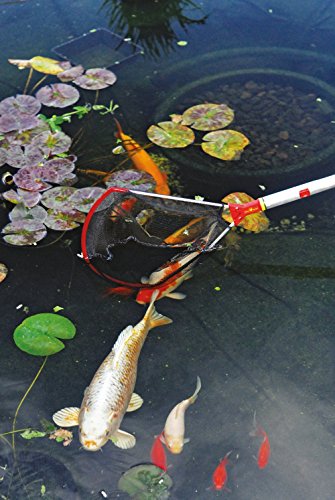 WOLF-Garten multi-star® Fangkescher WF-M; 5700000 - 2