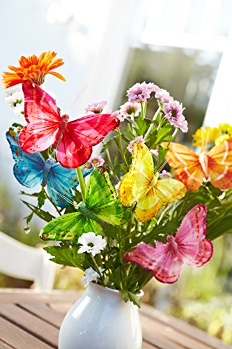 Heitmann Deco 30078 Federschmetterlinge mit Clip 6-teilig Plastik, 19 x 13,5 x 1,5 cm, Bunt - 2