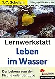 Lernwerkstatt Leben im Wasser: Der Lebensraum der Fische unter der Lupe by 