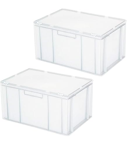BRB Eurobehälter Mit EPP-Isolierbox – 600x400x320 Mm, 25 Liter, Orange, Lebensmittelecht, Stapelbar