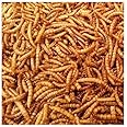 Croston Corn Mill 10kg Wheatsheaf Dried Mealworms for Wild Birds