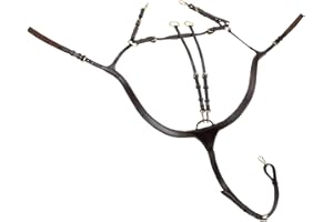 SUNRIDE Vorderzeug Ascot en Cuir véritable avec Martingale - pour Les Chevaux - utilisable en 5 Points et 3 Points (COB, Marron)