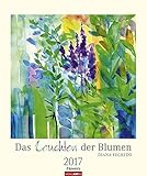 Image de Das Leuchten der Blumen - Kalender 2017: Aquarell Kalender