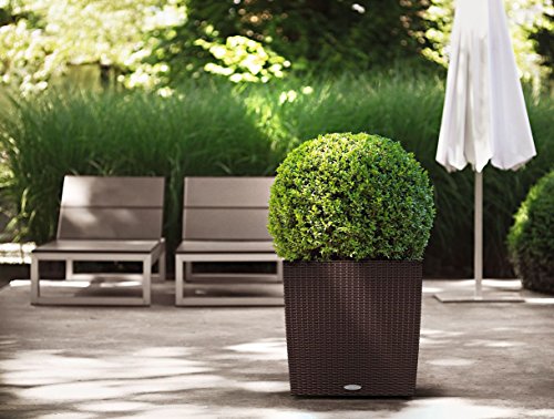 Lechuza Cube Cottage 50 2012 All in One Set, Mokkafarben - 2