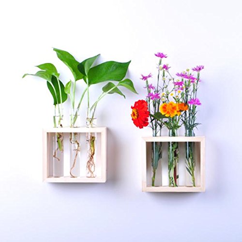 MagiDeal Kristall Reagenzglas Glas Vase In Holzständer Wand Hängen Für Blumen Pflanzen - 4