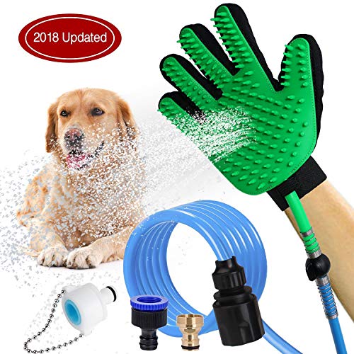 Laver son chien comment lui donner un bain