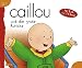 Produktbild Caillou Geschichtenbuch: Bd. 5: Caillou und die große Rutsche