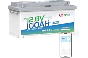 Redodo Bluetooth Bateria Litio 12V 100Ah H190, Batería LiFePO4 con188mm de Altura,Batería de Litio de Ciclo Profundo con Smart BMS,Protección de Baja Temperatura,para Autocaravanas,RVs,Caravanas