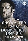 Aus Dunkelheit und Eis - Das Erwachen: Fantasy-Liebesroman by 