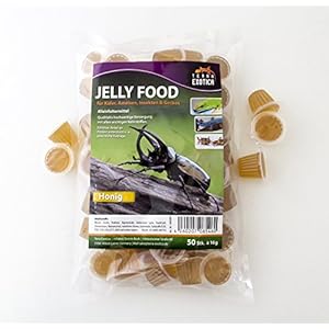 Jelly Food - Honig 50 Stück im Beutel , Fruitjelly , Beetlejelly - 50 x je 16g