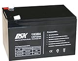 bateria 12v 12ah moto Voltaje nominal 12V DSK 10364 - Batería Plomo tecnología Gel 12V 12 Ah, Negro