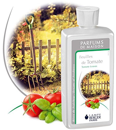 Feuilles de tomate / Tomato leaves 1L