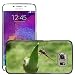 Produktbild Nur Handy HOT STYLE HANDY PC Hard Case Cover//m00139054 Libelle Insekten Sheriff//Samsung Galaxy S6 (passt nicht für S6 Edge)
