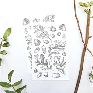 Aufkleber zum Ausmalen für Erwachsene mit Herbst Blättern und Eichel Illustration, 2 Blätter