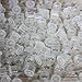 ITATOO TATTOO 100pcs 11mm Plastic Tattoo Pigment Ink Cups