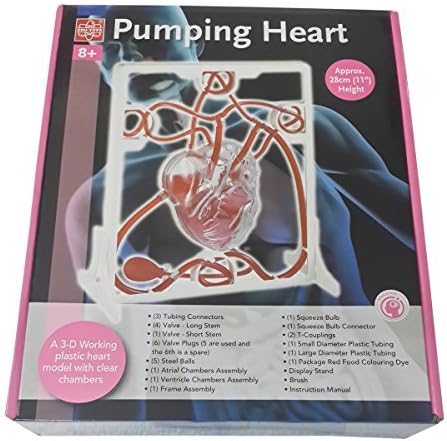 Wisetime Pumping Heart
