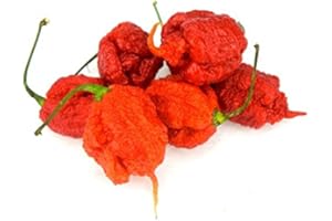 ‎FIRELAND FOODS Fresh Carolina Reaper, 250 g, one of the hottest chilli in the world with over 2 million Scoville - only for real chiliheads