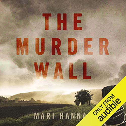 The Murder Wall: DCI Kate Daniels, Book 1