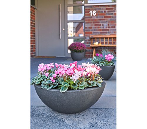 Dehner Kugelschale, Ø 52 cm, Höhe 20 cm, Kunststoff, anthrazit - 3