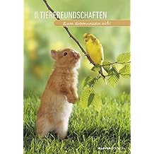 Suchergebnis Auf Amazonde Für Sprüche Kalender Für
