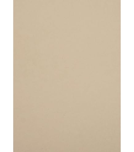 Netuno 100 vellen gerecycled papier ecru A4 210x297mm 110g Woodstock Betulla ÖKO Vintage Retro knutselpapier natuurlijk papier voor bruiloft kerst verjaardag uitnodigingen visitekaartje