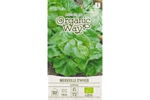 Organic Way | INVIERNO LECHUGA DE INVIERNO Semillas | Semillas de hortalizas | 1 paquete