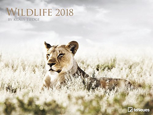 Wildlife Kalender 2018 - Tierkalender, Naturkalender, Posterkalender - 64 x 48 cm