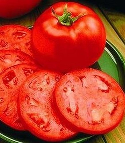 Preisvergleich Produktbild PLAT FIRM GERMINATIONSAMEN: 50 - Samen: Homesweet Hybrid Tomatensamen - Diese sind sehr süß, saftig und aromatisch MMmm