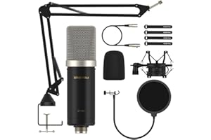 ZINGYOU XLR Condenser Microphone, Professional Studio Mic Kit for Record, Podcast, Streaming, YouTube, VoiceOver, Vocal, with Boom Arm, Shock Mount, Pop Filter, Windscreen and Cable Ties, CA1 (Nickel)