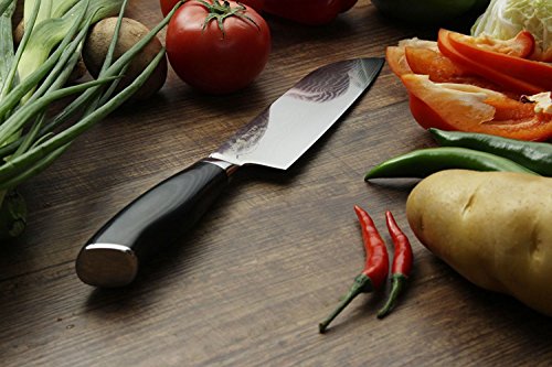 Das SWITYF VG-10 hochwertige japanische Stahl-Santokumesser ist ein Spezialmesser das178mm lang und mit hohen Kohlenstoffgehalt ist Das Micarta-Handgriff wurde mit Verbundwerkstoff ergonimisch entwickelt Das Damaskus-Muster ist wunderschön DDSK-TK - 5