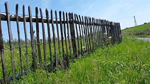 Staketenzaun Kastanienholz 75cm hoch 7,5cm Abstand 5m Rolle, Staketenzaun aus England, Staketenzäune in riesiger Auswahl, - 4