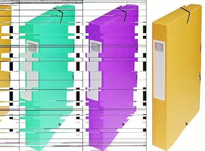Exacompta 50409E Boite de classement exabox en carte lustree nature future - dos de 40mm - 24x32cm pour A4