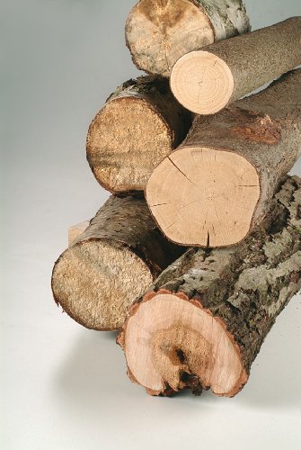 Bosch DIY Säbelsägeblatt Top für Wood zum Sägen in Holz, S 1131 L, 2 Stück - 3