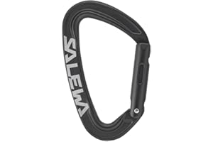 Salewa Ortles Straight Carabiner