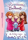 Le Royaume Enchanté 05 - La Montagne magique