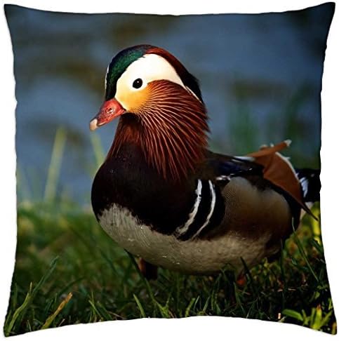 Mandarin duck - Throw Pillow Cover Case (18" x 18")
