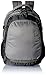 Aristocrat Gusto Fabric 30 Ltrs Grey Laptop Backpack (LPBPGUS2GRY) RS.1399.00