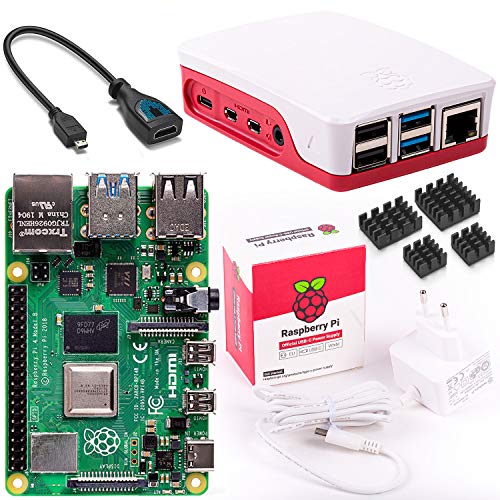 Vilros Raspberry Pi 4 Model B Basic Starter Kit con Accesorios Oficiales Incluido: Raspberry Pi 4 Model B con 5 Accesorios Esenciales Rojo/Blanco 1 GB